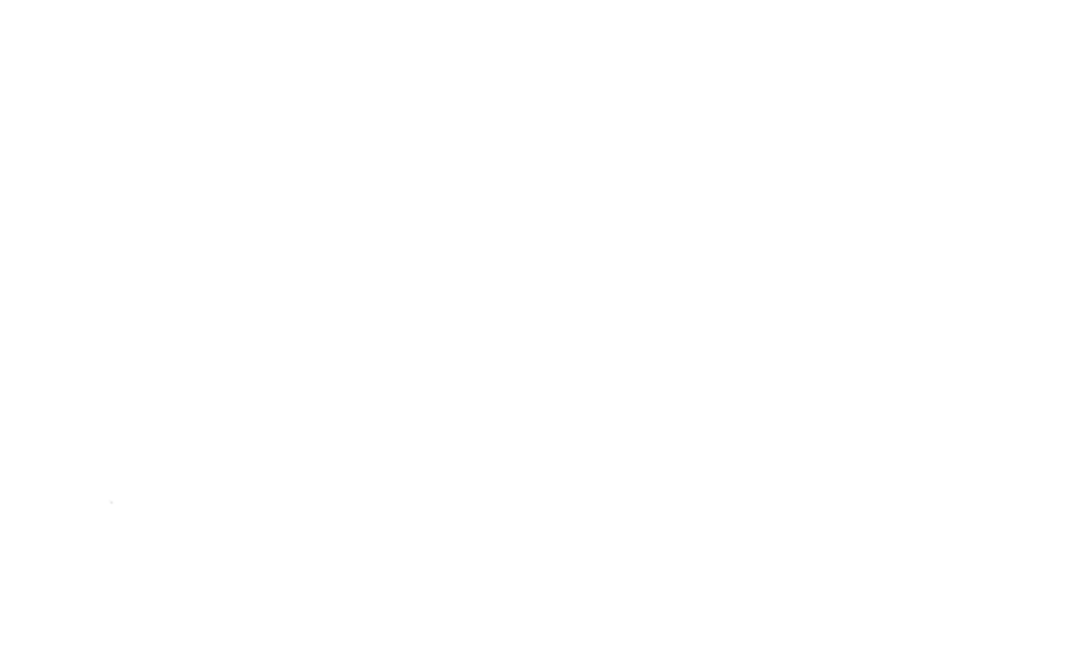 footer-logo